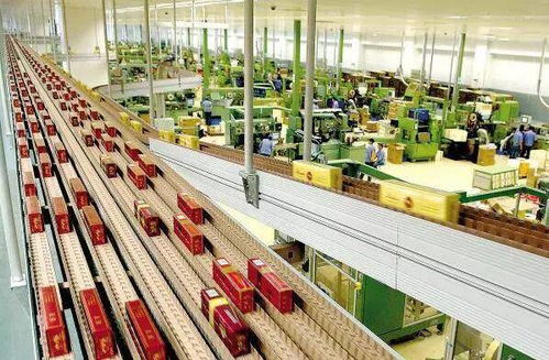 高考倒計(jì)時(shí)50天，揭秘那些冷門但潛力無(wú)限的“技術(shù)+服務(wù)”專業(yè)